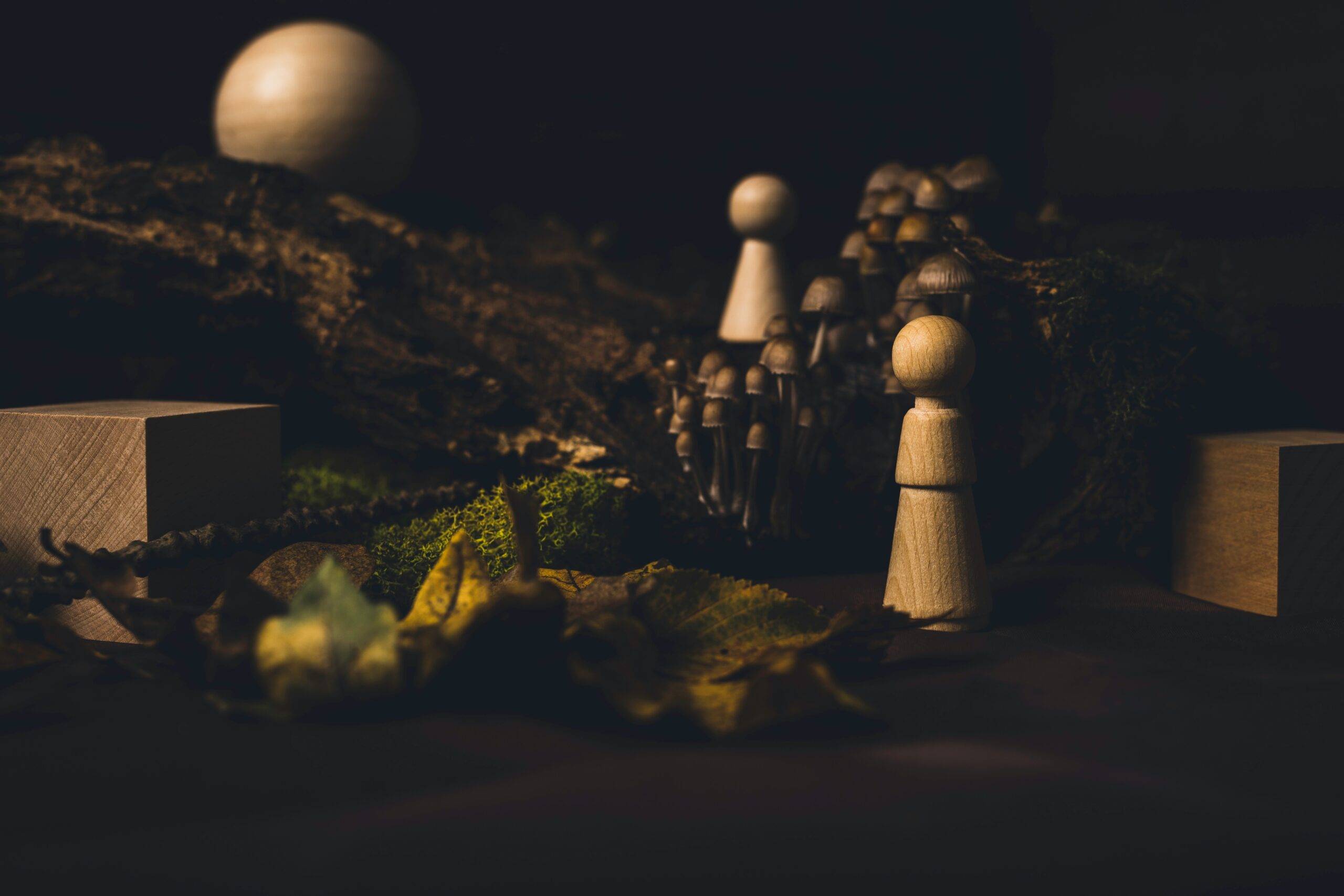 institutional chess omnibus