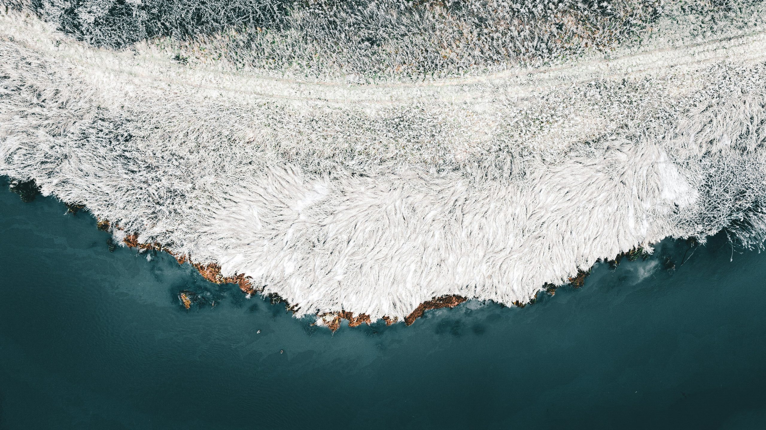 Global Circularity Protocol for business Global Circularity Protocol for business measurement framework showing circularity metrics and impact assessment