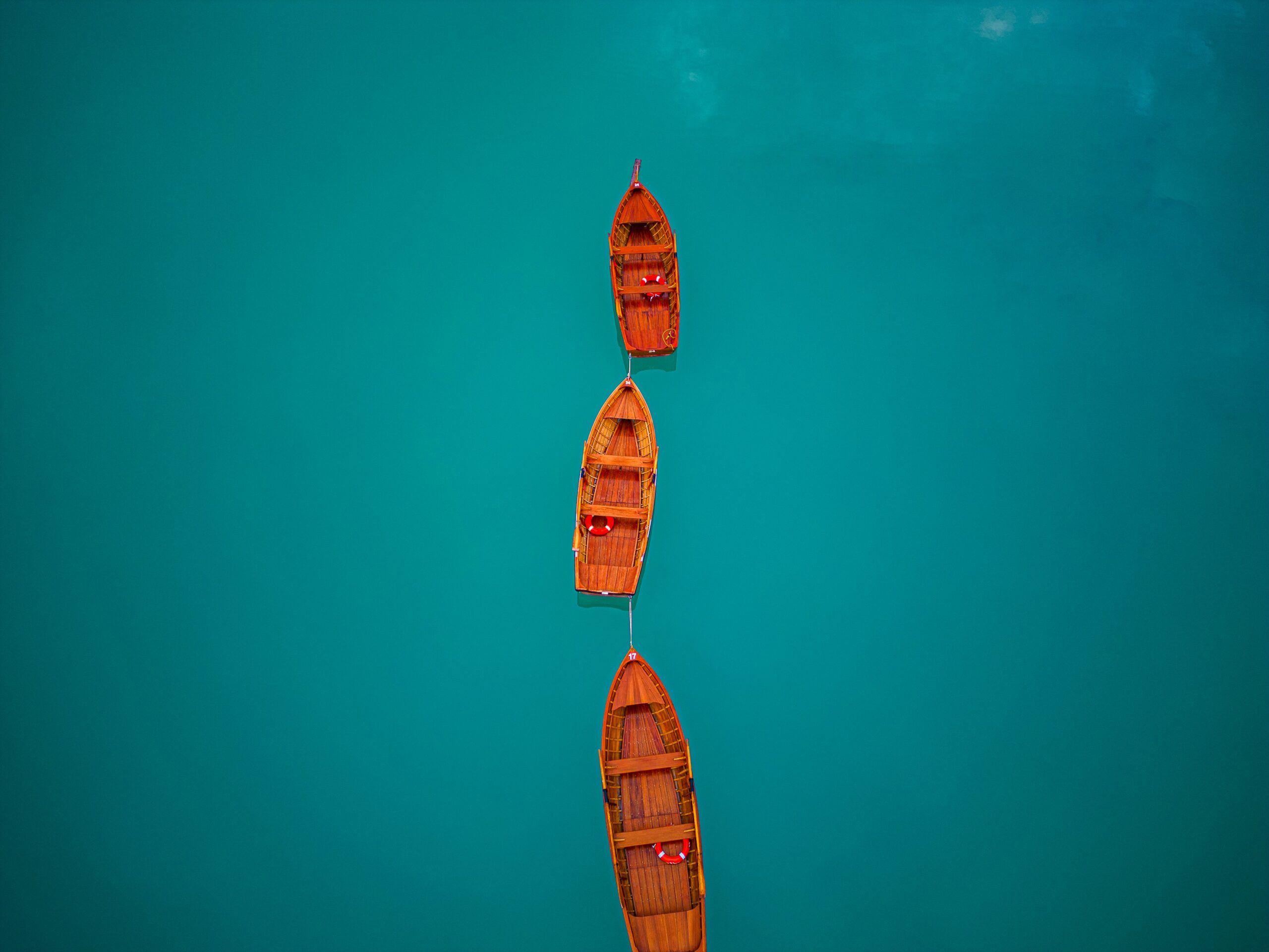 6 sustainability trends shaping business in 2026